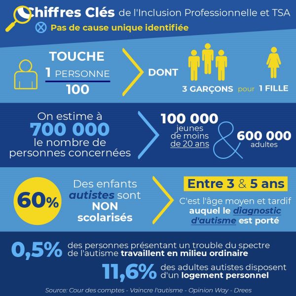 Infographie sur les chiffres clés des TSA en France